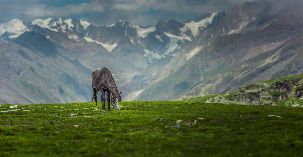 All the ways lead to  it