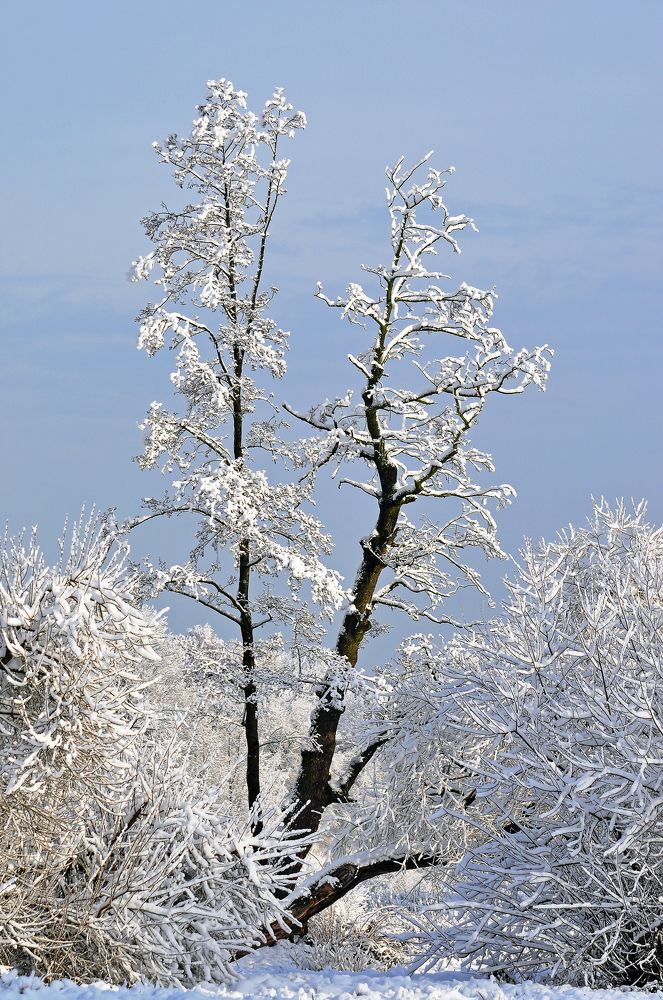 Фотография автора Антип