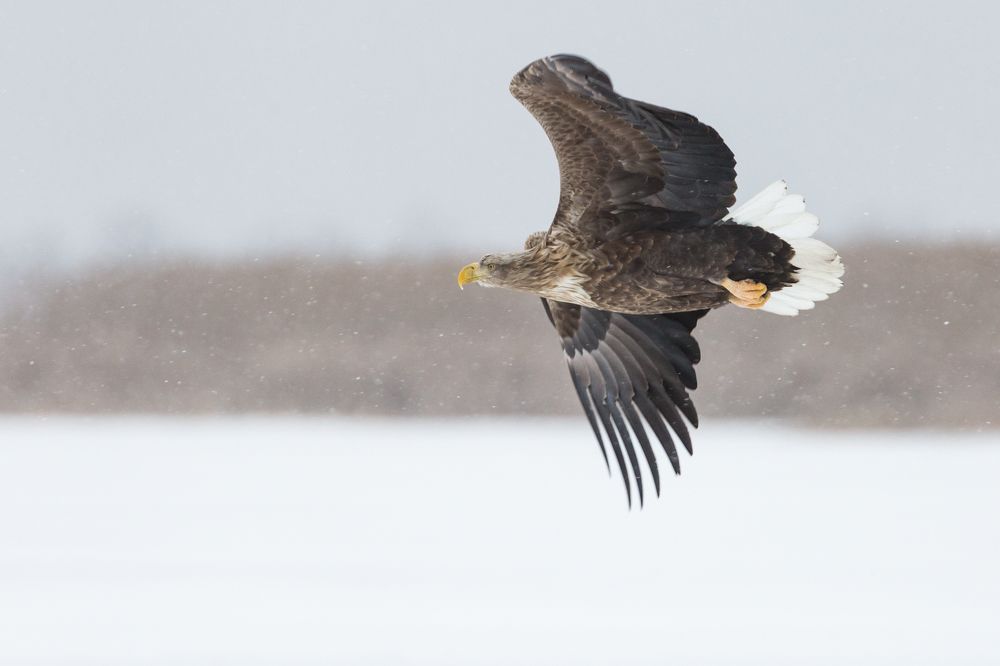Photograph by Алексей Кашин