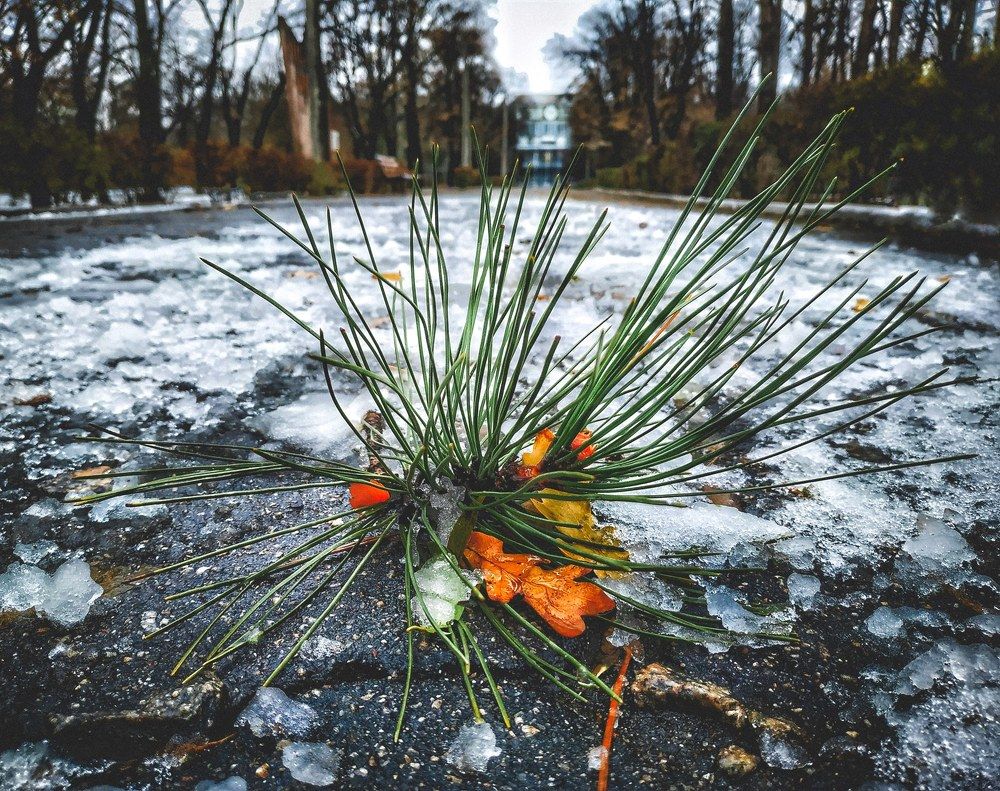 Зимние время