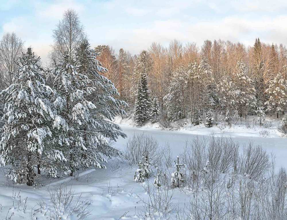 На берегу реки