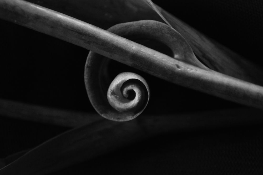 Зарождение новой формы