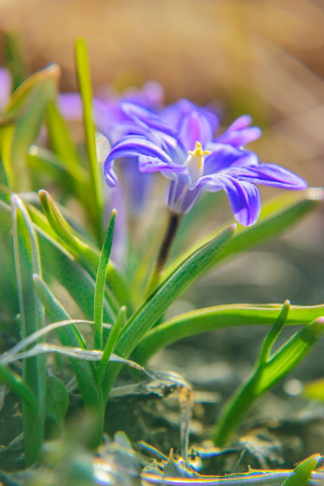 Photograph by Victor Pruhnitskiiy