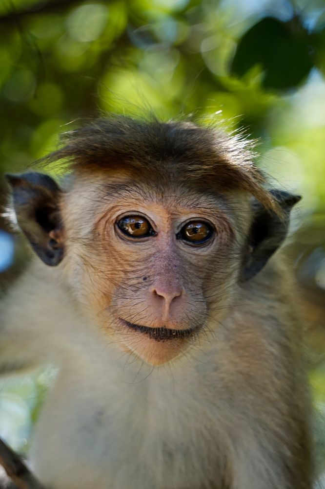 Привет, человек!