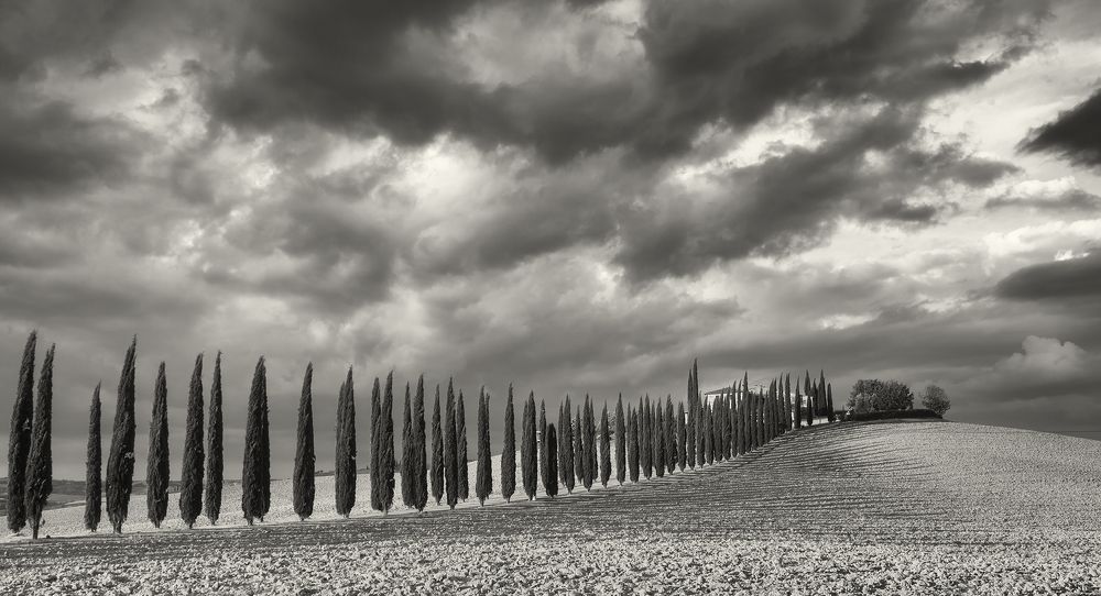 Фотография автора Сергей Сынтин