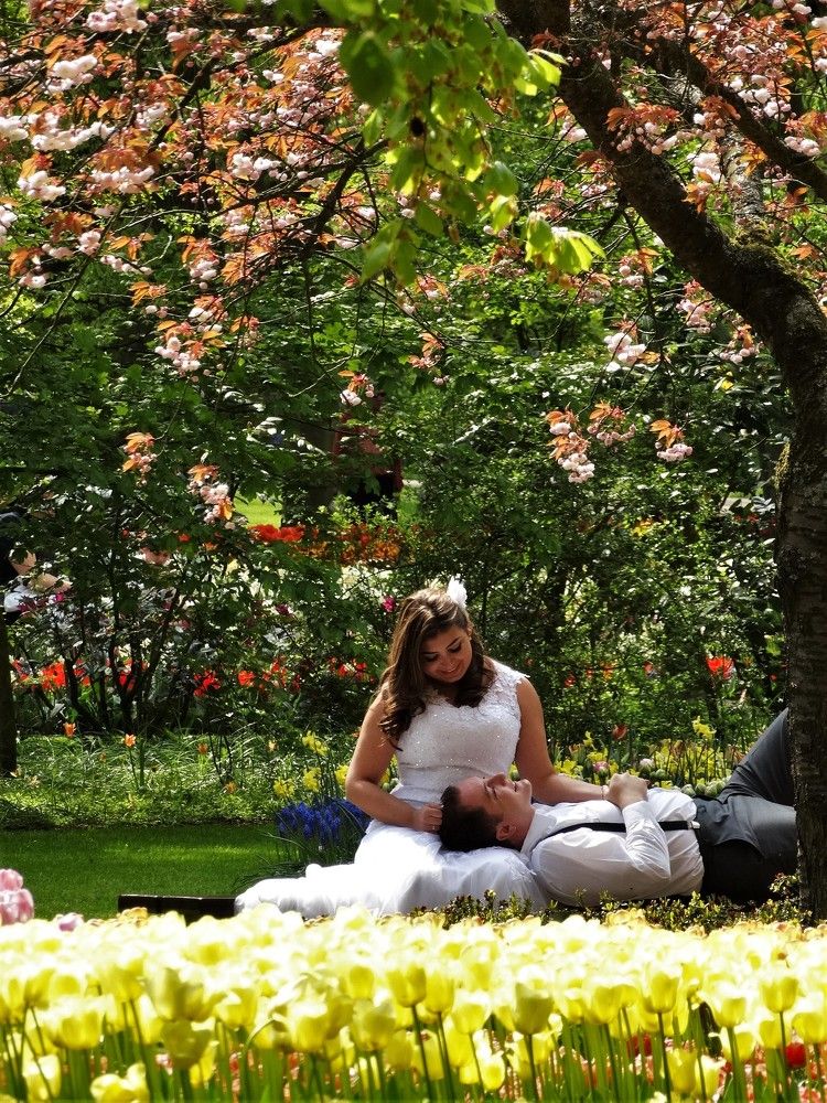 Цветочный рай