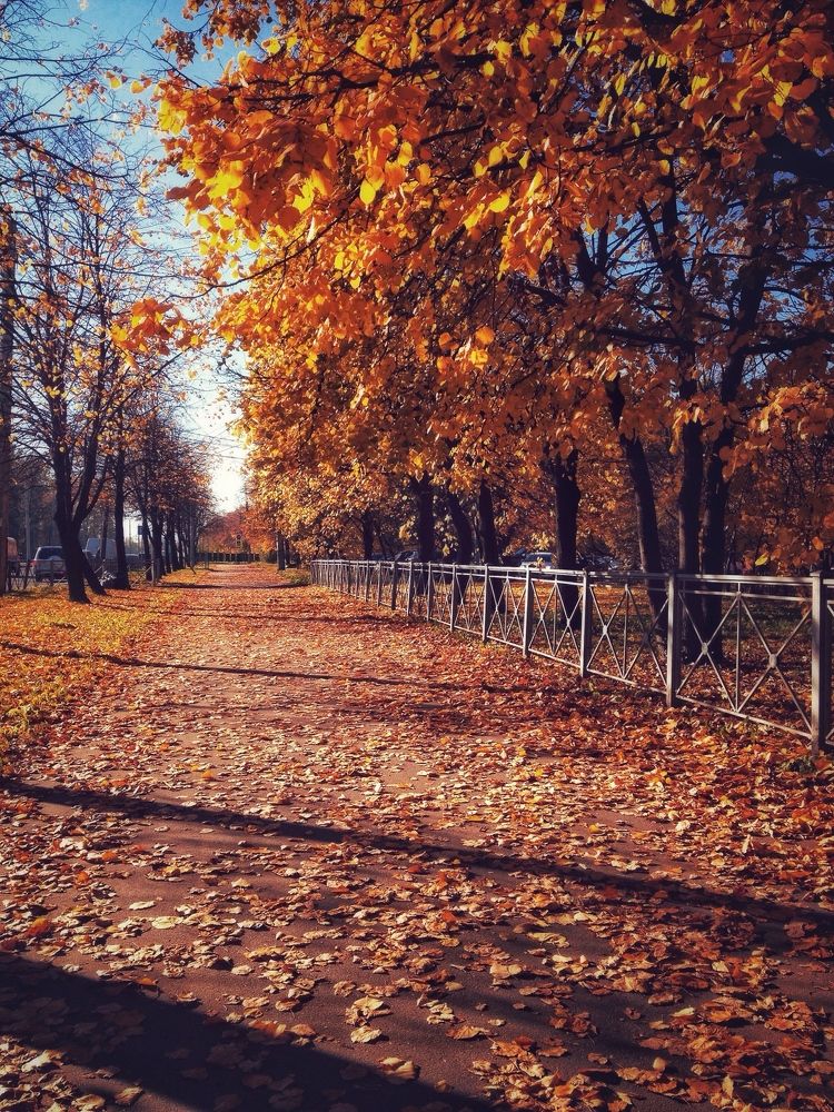 Golden autumn