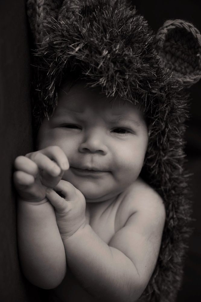 Little hedgehog