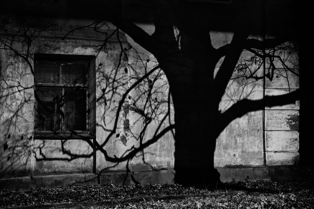 осенний сон