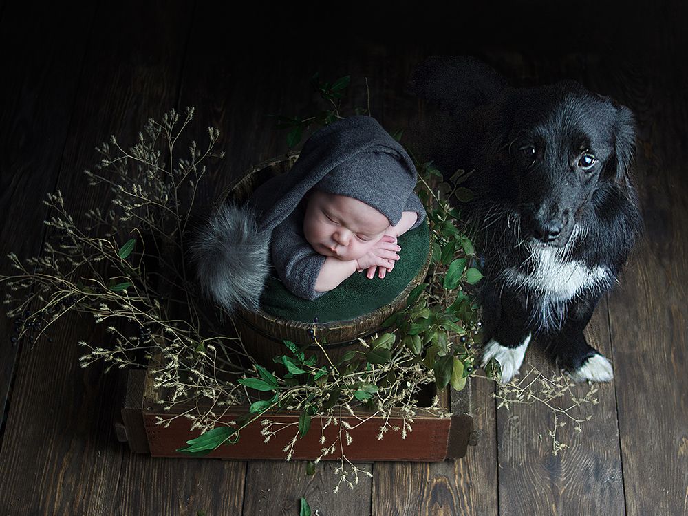 лучший друг