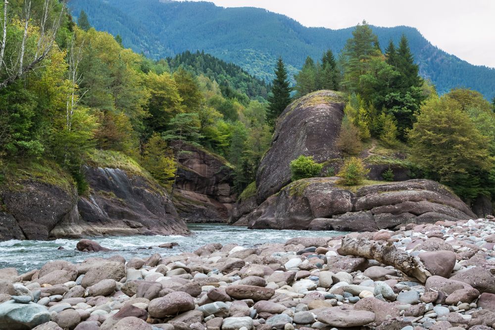 Визитная карточка Рожкао.