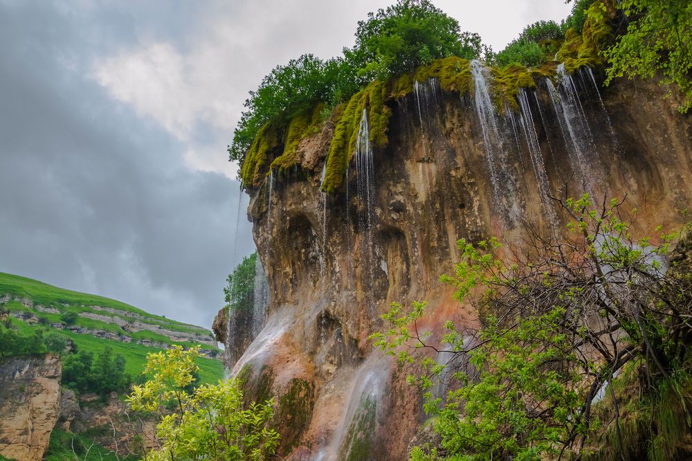 Красавец Гендмишх.