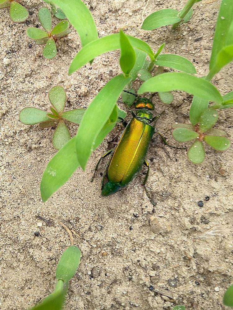 К укромному месту