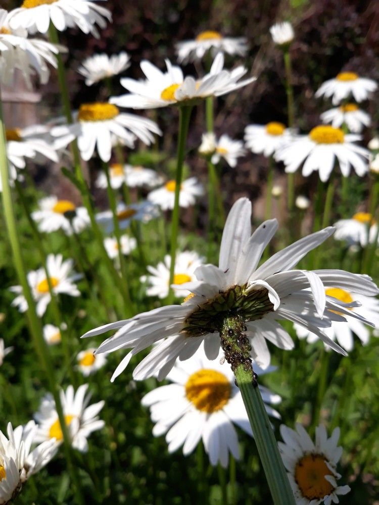 Photograph by Софья
