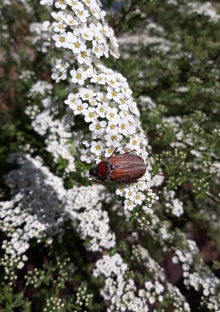 Photograph by Софья