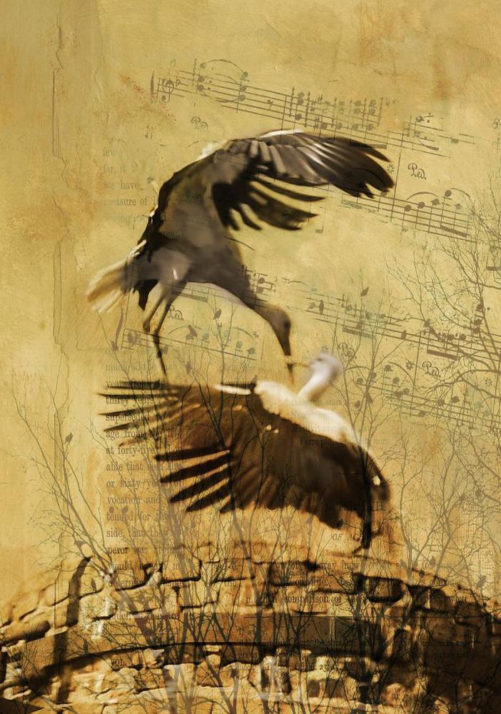 Мелодия любви