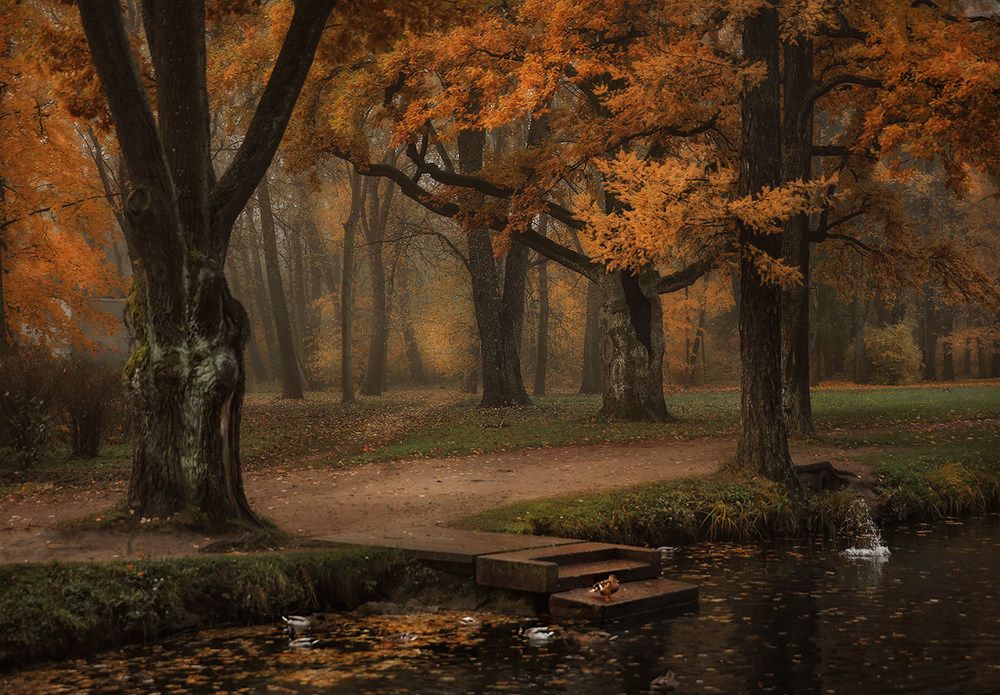 Александровский парк