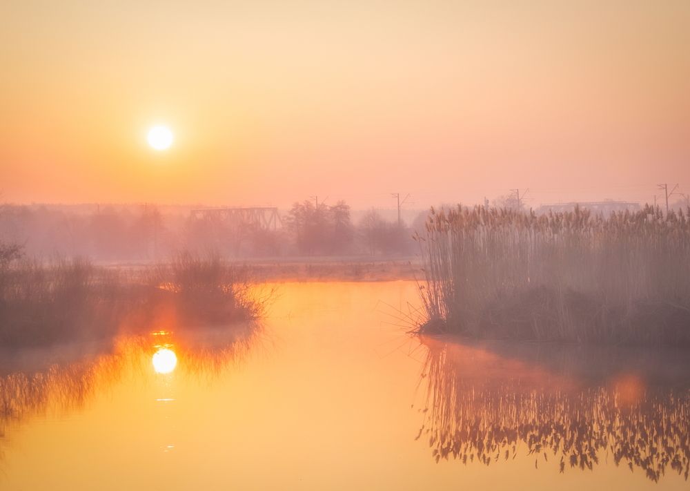 Золото рассвета