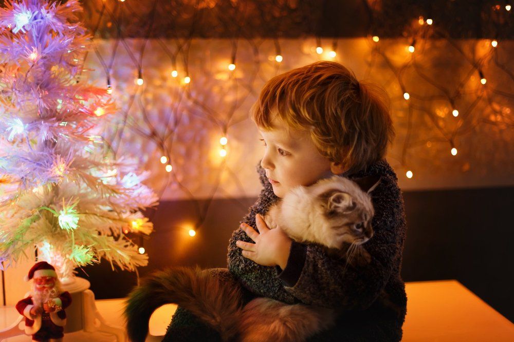 Фотография автора Summerlin