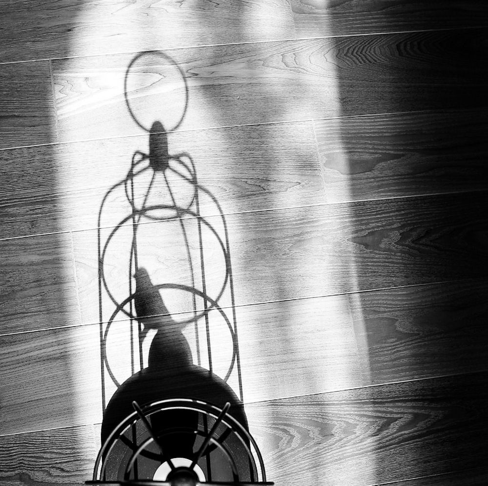 Photograph by Диана Нигматова