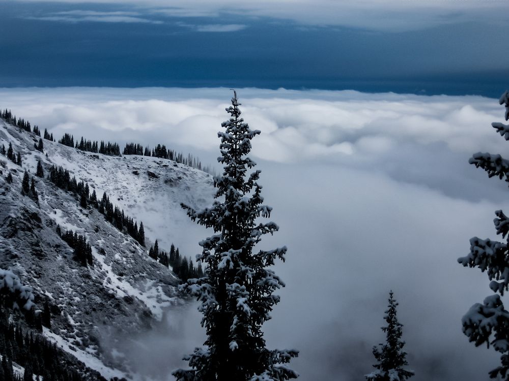 Море облаков