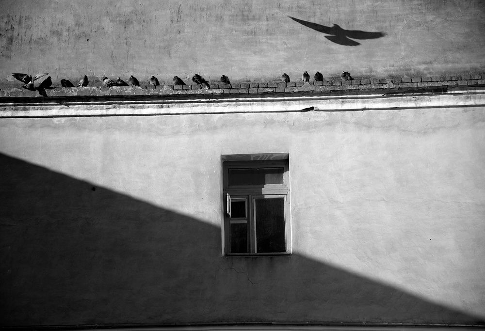 Парящие мечты.