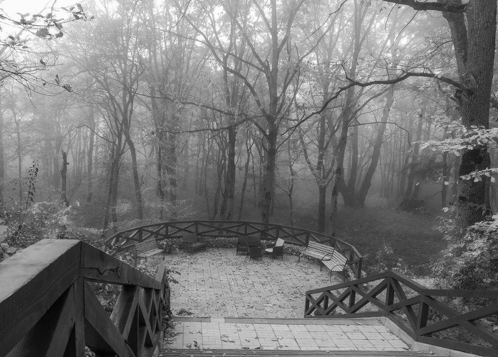 Photograph by Бабитко Юлия