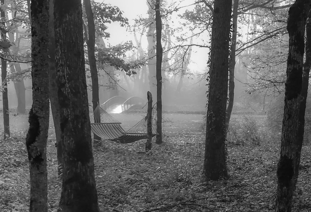 Ностальгия.