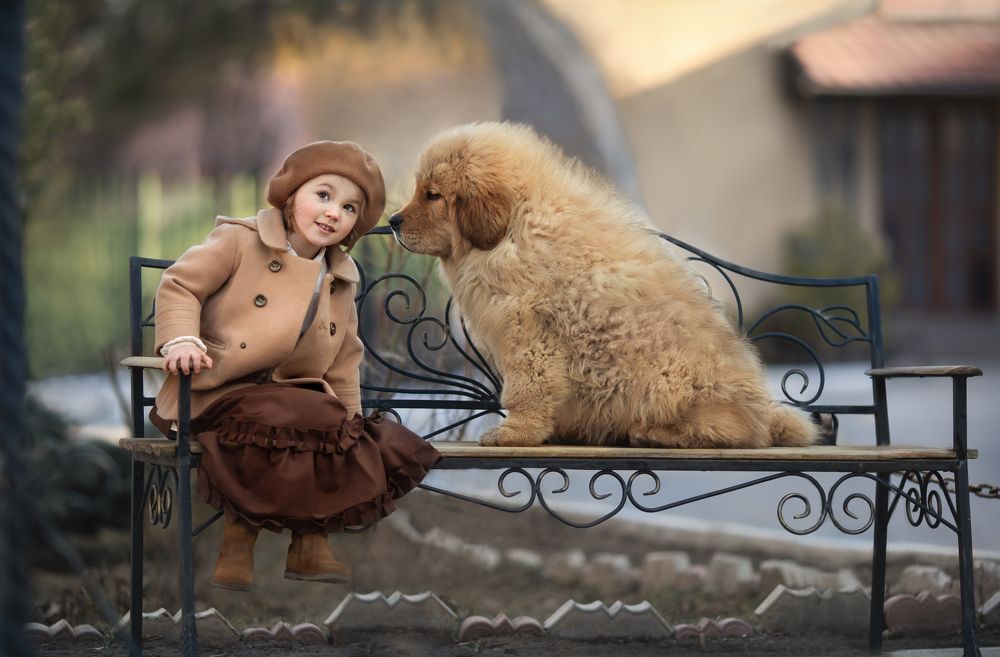 Photograph by Алла Семдянкина