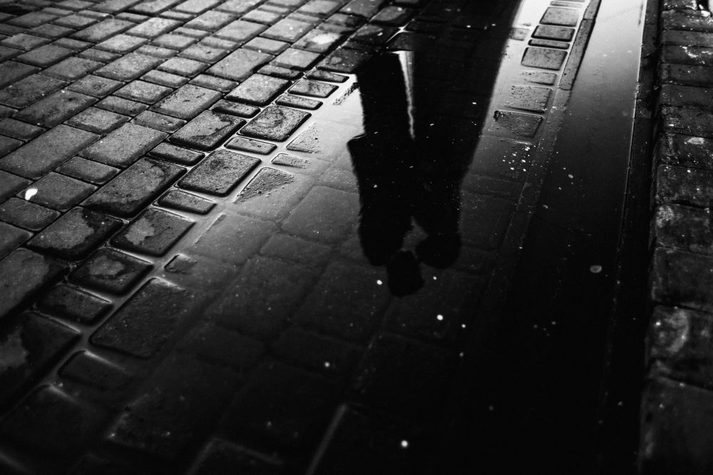 Женя и Антон