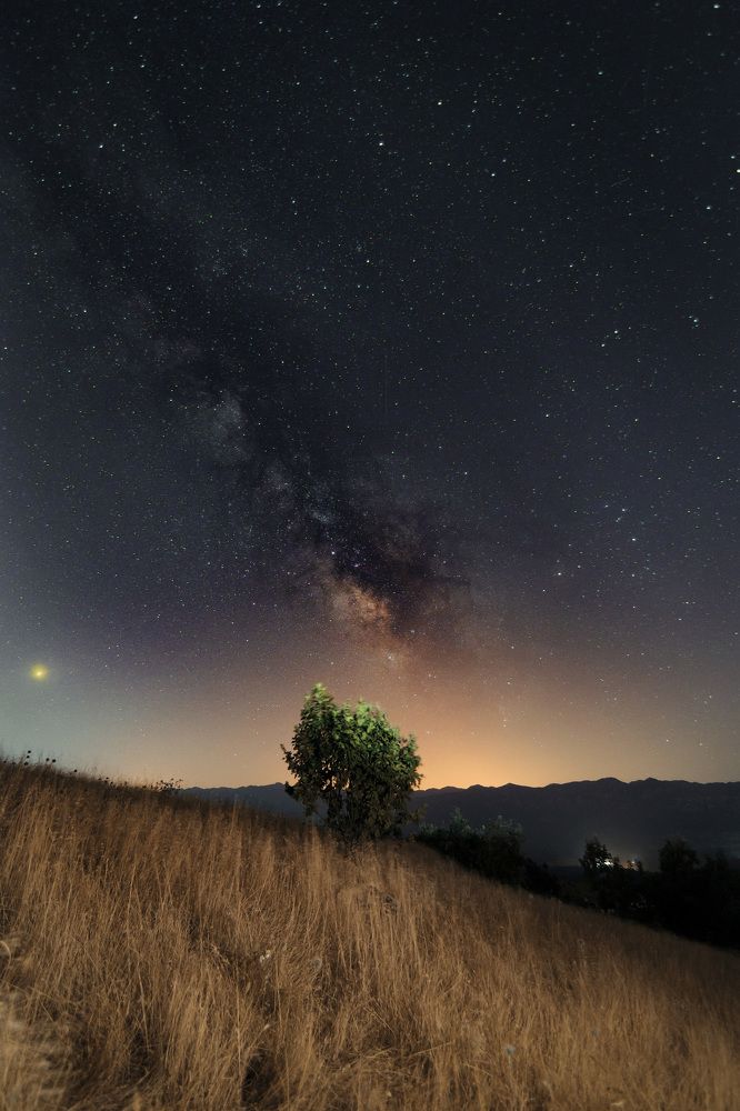 The tree and the milky way