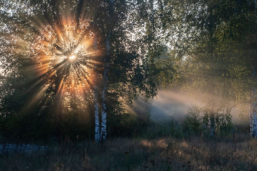 Лучистый рассвет
