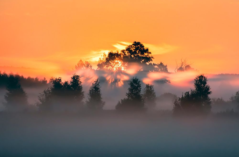 Про лучи солнца, пронизывающие утро
