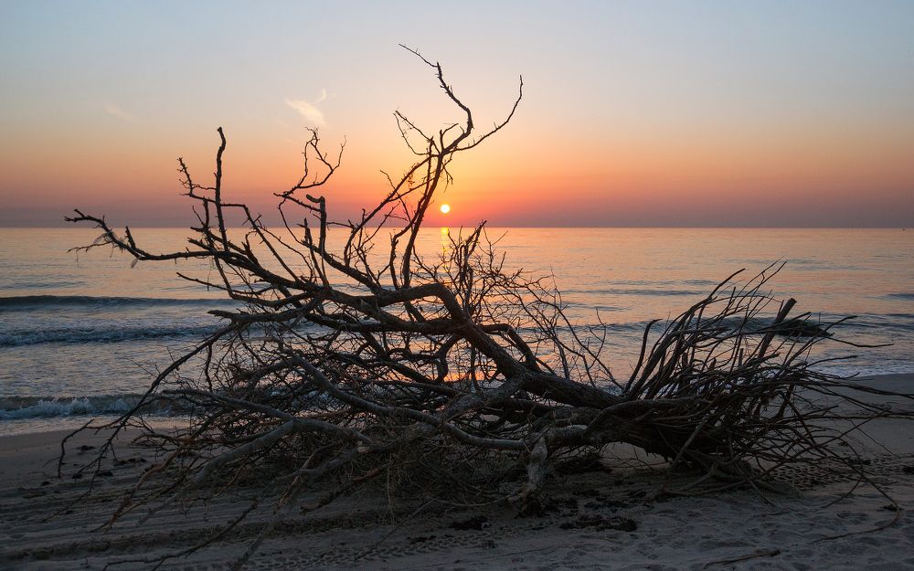 Теплый вечер у моря