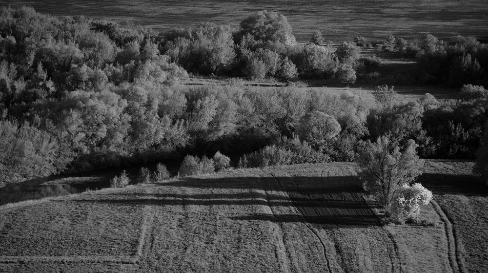 Длинные тени