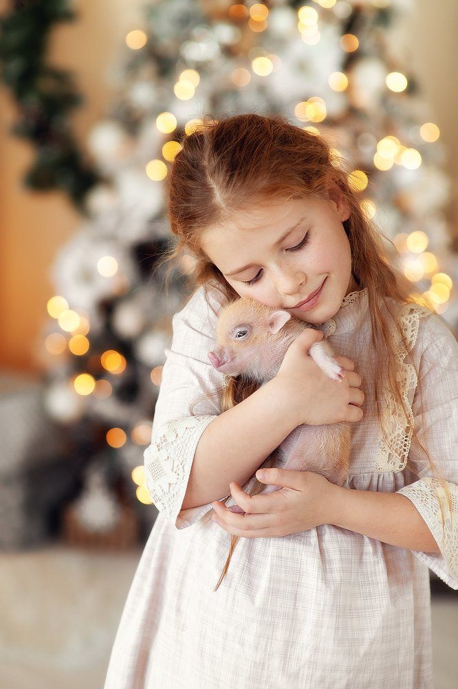 Символ года