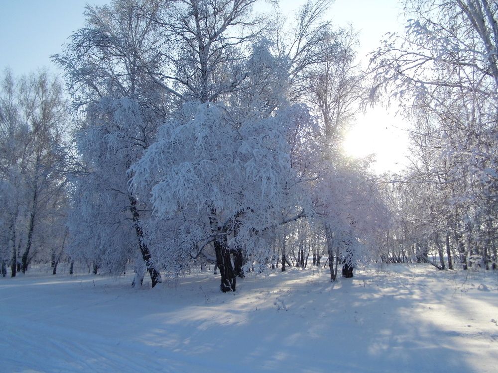 солнце