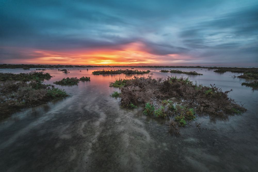 Photograph by Ahmad ALGhamdi