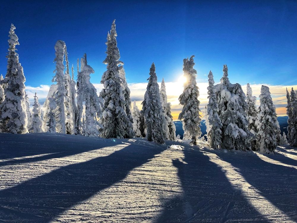 Photograph by Ailin Hanono