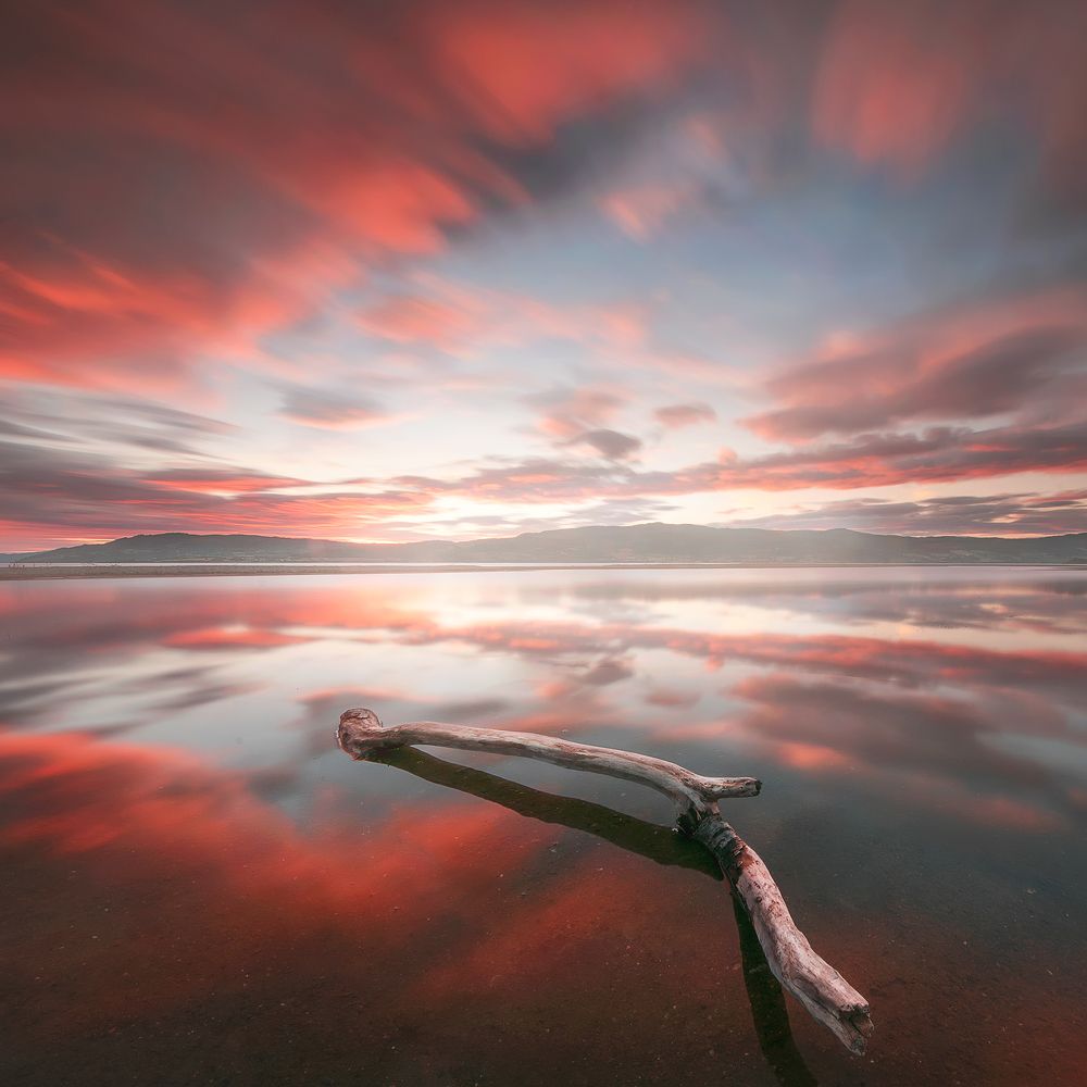 Photograph by Dariusz Bruhnke