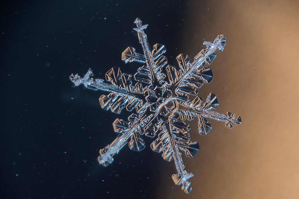 снежный цветок