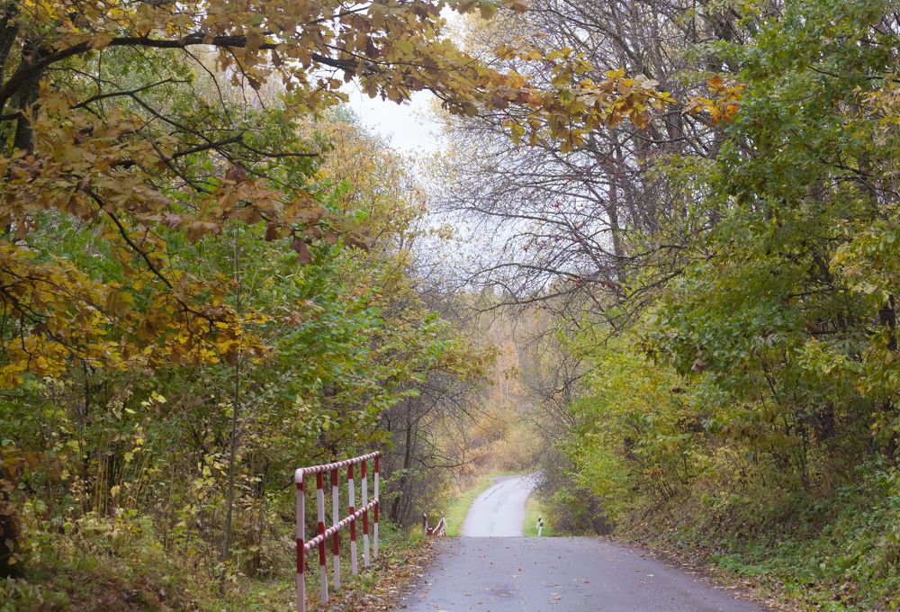 Autumn outside the city