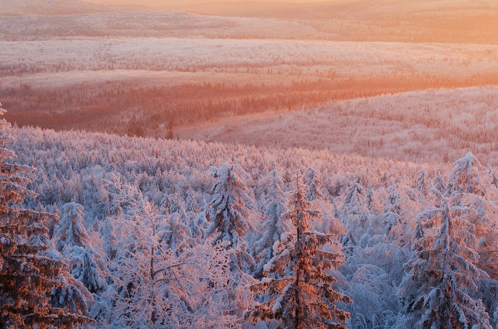 Долина света!