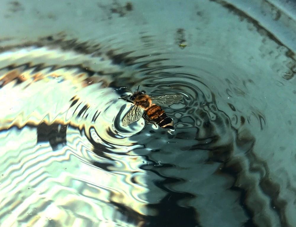 чужая среда