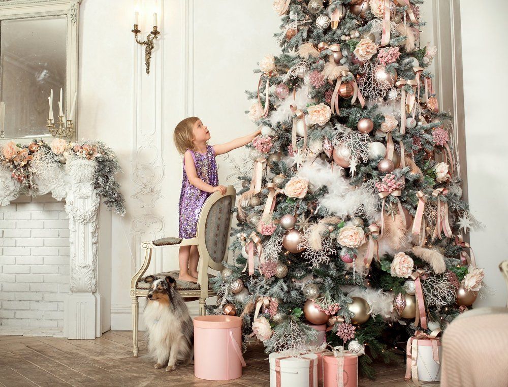 Фотография автора Анна Евгеньева