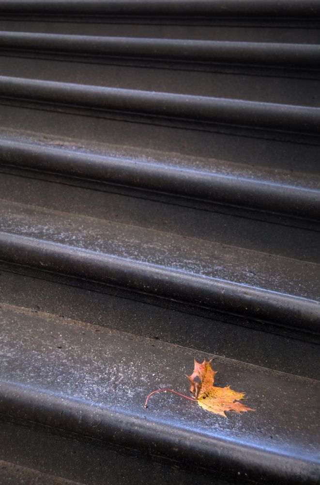 без названия