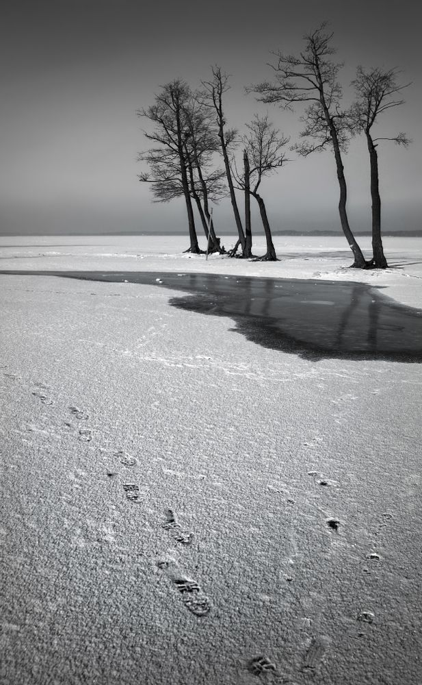 без названия