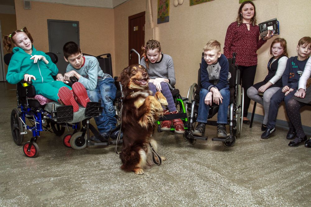 Ребята! Давайте жить дружно!