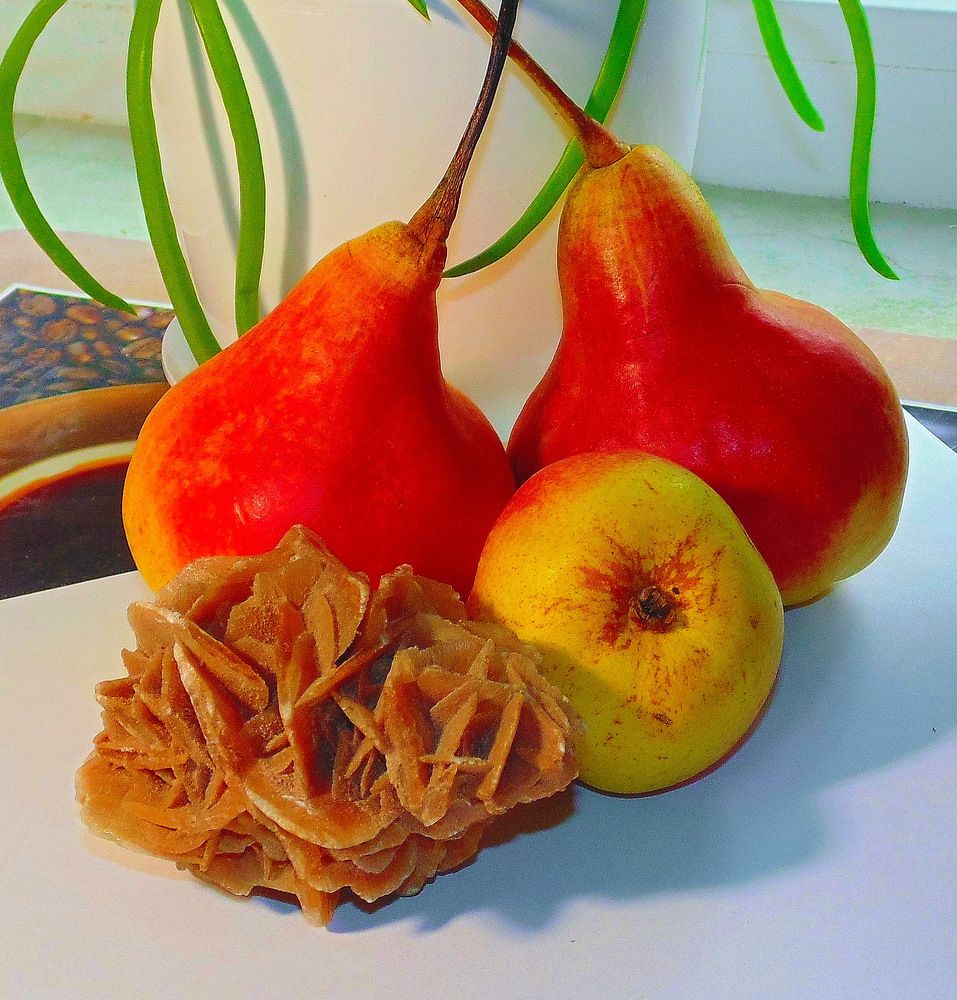 Груши и роза Сахары.