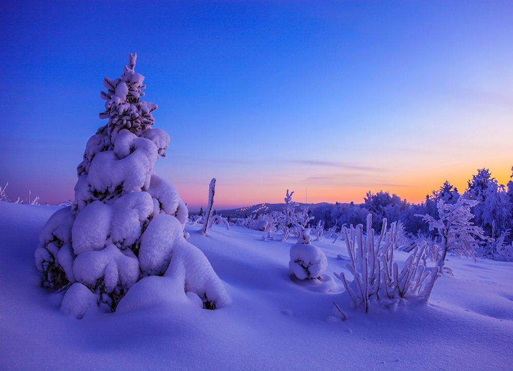 Скандинавским вечером